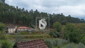 Terreno Rstico T0 - JAZENTE, Amarante, Porto - Miniatura: 19/24