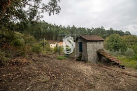 Terreno Rstico T0 - JAZENTE, Amarante, Porto - Miniatura: 23/24