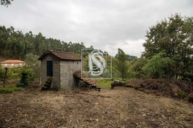 Terreno Rstico T0 - JAZENTE, Amarante, Porto - Miniatura: 24/24