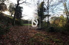 Terreno R�stico T0 - REBORDELO, Amarante, Porto - Miniatura: 2/3