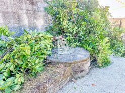 Moradia T2 - Frid�o, Amarante, Porto - Miniatura: 50/62