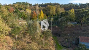 Moradia T3 - Vila Ch� do Mar�o, Amarante, Porto - Miniatura: 14/19