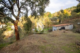 Moradia T3 - Vila Ch� do Mar�o, Amarante, Porto - Miniatura: 17/19