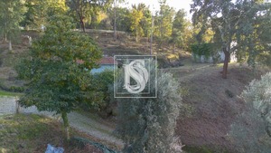 Moradia T3 - Vila Ch� do Mar�o, Amarante, Porto - Miniatura: 18/19