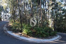 Terreno R�stico - REBORDELO, Amarante, Porto - Miniatura: 4/4