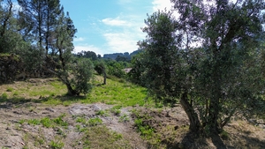 Terreno R�stico - Gouveia (S�o Sim�o), Amarante, Porto - Miniatura: 6/18