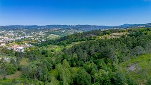 Terreno R�stico - Lomba, Amarante, Porto - Miniatura: 9/20