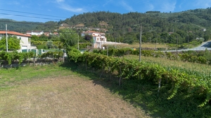 Terreno R�stico - Gouveia (S�o Sim�o), Amarante, Porto - Miniatura: 3/24