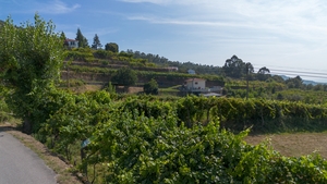 Terreno R�stico - Gouveia (S�o Sim�o), Amarante, Porto - Miniatura: 22/24