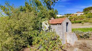 Terreno R�stico - Frende, Bai�o, Porto - Miniatura: 9/36