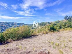 Terreno R�stico - Frende, Bai�o, Porto - Miniatura: 20/36
