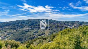 Terreno R�stico - Frende, Bai�o, Porto - Miniatura: 35/36