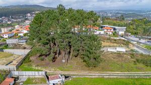 Terreno R�stico - Fregim, Amarante, Porto - Miniatura: 11/25