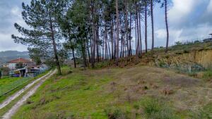 Terreno R�stico - Fregim, Amarante, Porto - Miniatura: 12/25