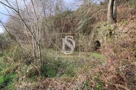 Terreno R�stico - Salvador do Monte, Amarante, Porto - Miniatura: 2/15