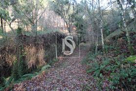 Terreno R�stico - REBORDELO, Amarante, Porto - Miniatura: 3/3