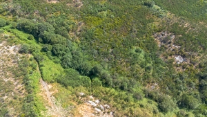 Terreno R�stico - Gouveia (S�o Sim�o), Amarante, Porto - Miniatura: 14/16