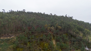 Terreno R�stico - Vandoma, Paredes, Porto - Miniatura: 4/24