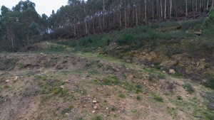Terreno R�stico - Vandoma, Paredes, Porto - Miniatura: 17/24
