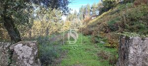 Terreno R�stico - Candemil, Amarante, Porto - Miniatura: 14/17