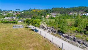 Terreno R�stico - Fregim, Amarante, Porto - Miniatura: 5/22