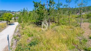 Terreno R�stico - Fregim, Amarante, Porto - Miniatura: 7/22