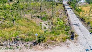 Terreno R�stico - Fregim, Amarante, Porto - Miniatura: 9/22