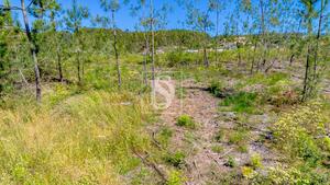 Terreno R�stico - Fregim, Amarante, Porto - Miniatura: 10/22