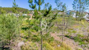 Terreno R�stico - Fregim, Amarante, Porto - Miniatura: 22/22