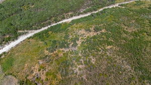 Terreno R�stico - Gouveia (S�o Sim�o), Amarante, Porto - Miniatura: 8/16