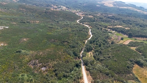 Terreno R�stico - Gouveia (S�o Sim�o), Amarante, Porto - Miniatura: 15/16