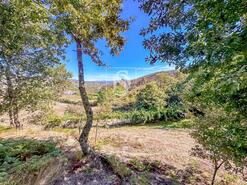 Terreno R�stico - Grilo, Bai�o, Porto - Miniatura: 13/40