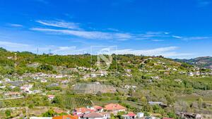 Terreno R�stico - Grilo, Bai�o, Porto - Miniatura: 28/40