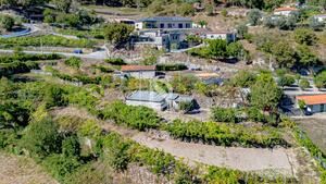 Terreno R�stico - Grilo, Bai�o, Porto - Miniatura: 29/40