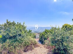 Quinta T3 - Vila Ca�z, Amarante, Porto - Miniatura: 10/26