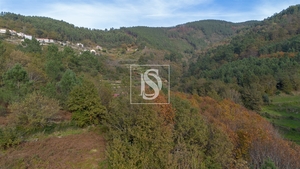 Terreno R�stico - Ansi�es, Amarante, Porto - Miniatura: 2/9