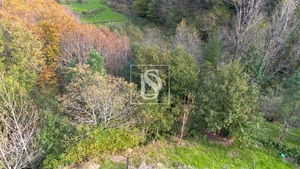 Terreno R�stico - Ansi�es, Amarante, Porto - Miniatura: 3/9