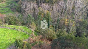 Terreno R�stico - Ansi�es, Amarante, Porto - Miniatura: 4/9