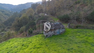 Terreno R�stico - Ansi�es, Amarante, Porto - Miniatura: 8/9