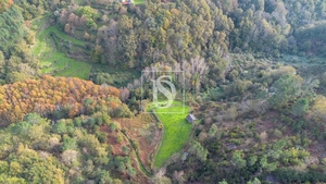 Terreno R�stico - Ansi�es, Amarante, Porto - Miniatura: 9/9