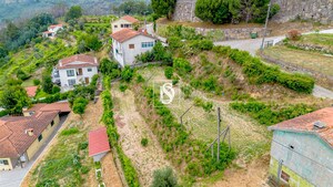 Terreno R�stico - Frid�o, Amarante, Porto - Miniatura: 2/17