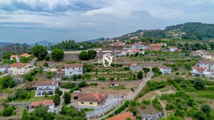 Terreno R�stico - Frid�o, Amarante, Porto - Miniatura: 11/17