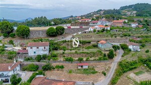 Terreno R�stico - Frid�o, Amarante, Porto - Miniatura: 12/17