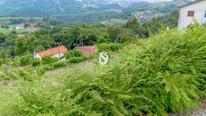 Terreno R�stico - Frid�o, Amarante, Porto - Miniatura: 16/17