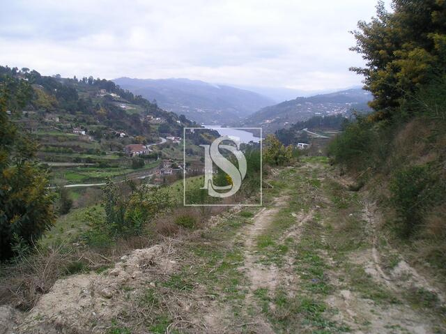 Terreno R�stico - Penha Longa, Marco de Canaveses, Porto - Imagem grande