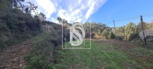 Terreno Rstico T0 - Candemil, Amarante, Porto