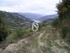 Terreno R�stico - Penha Longa, Marco de Canaveses, Porto