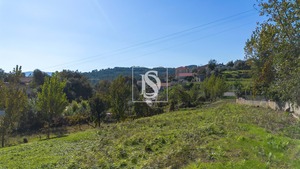 Terreno Rstico T0 - Vila Garcia, Amarante, Porto - Miniatura: 29/45