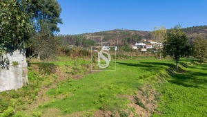 Terreno Rstico T0 - Vila Garcia, Amarante, Porto - Miniatura: 34/45