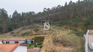 Terreno Rstico T0 - Vandoma, Paredes, Porto - Miniatura: 5/24